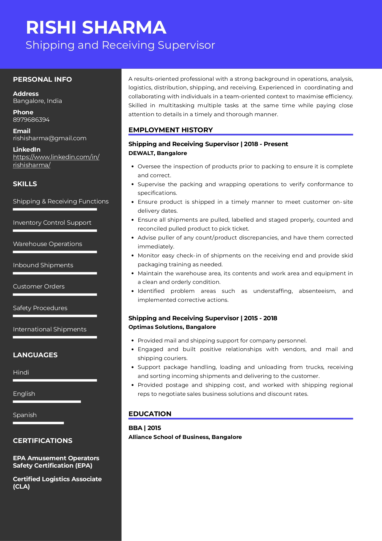 resume summary examples for logistics