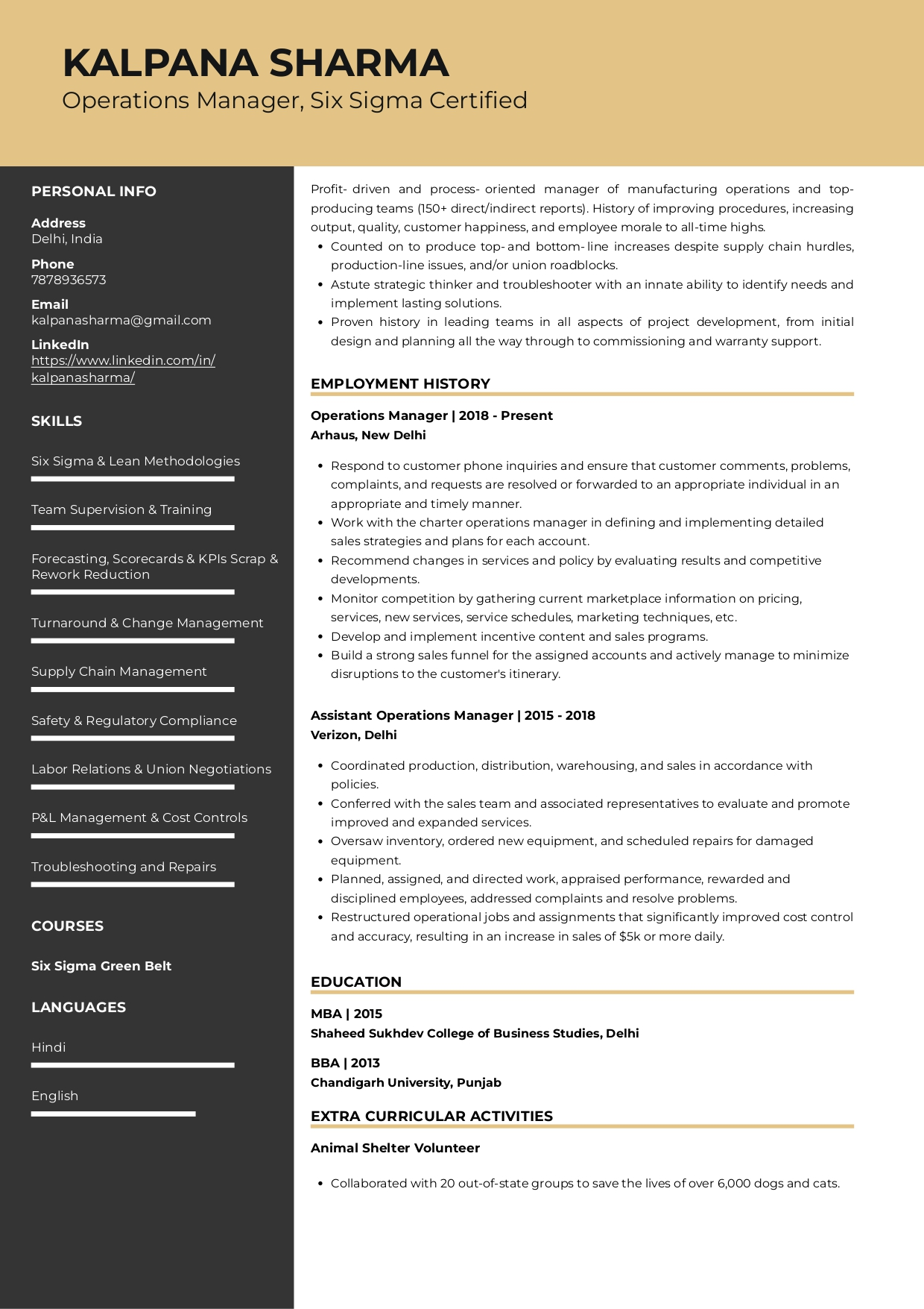 kpi resume example