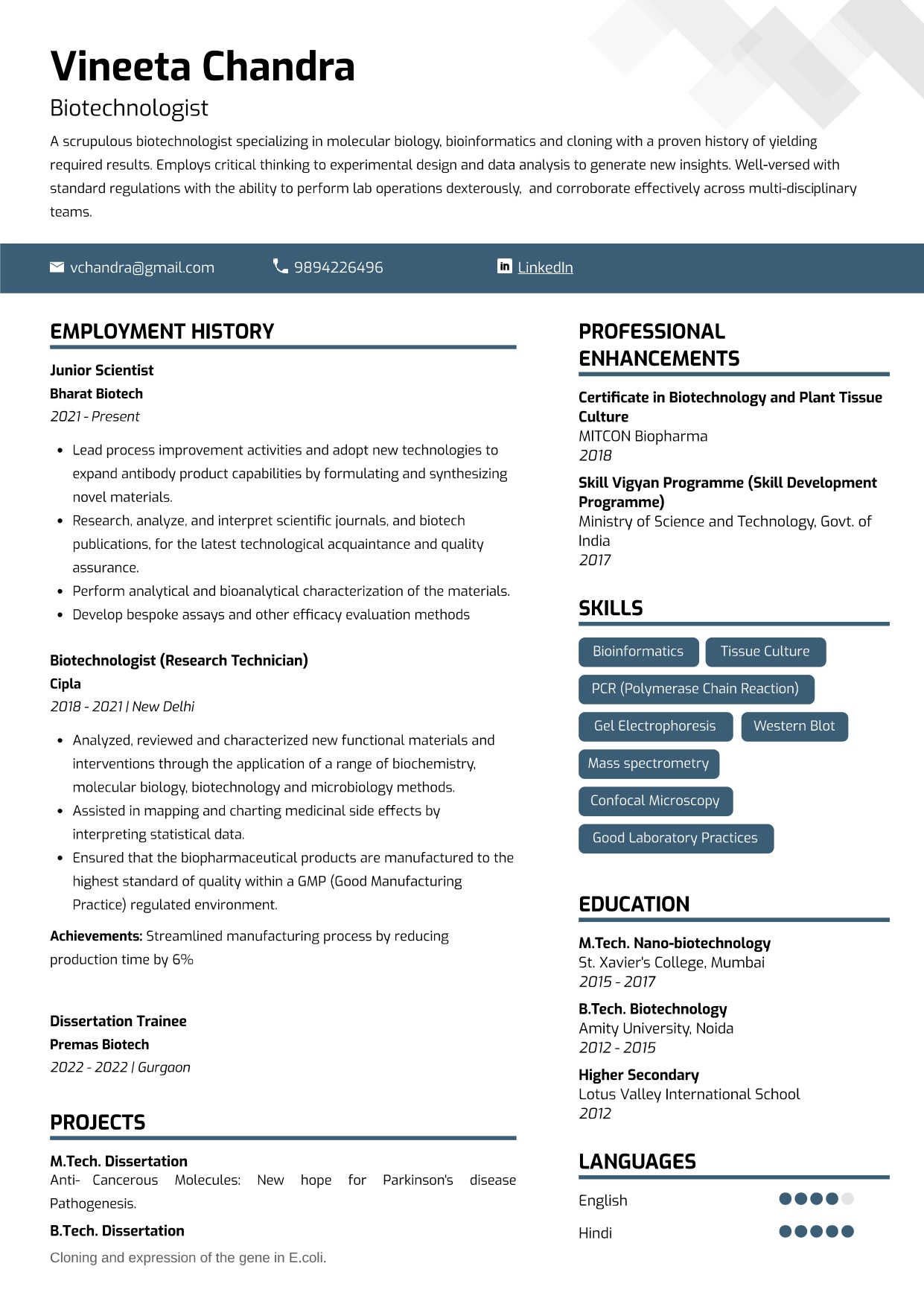 kpi resume example