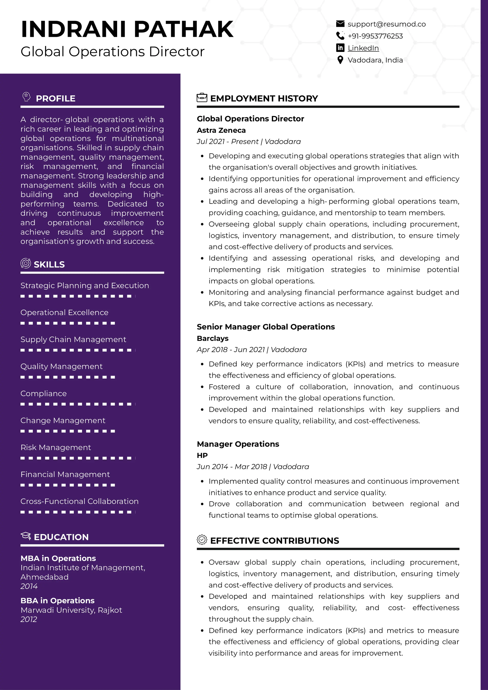 Resume of Global Operations Director built on Resumod