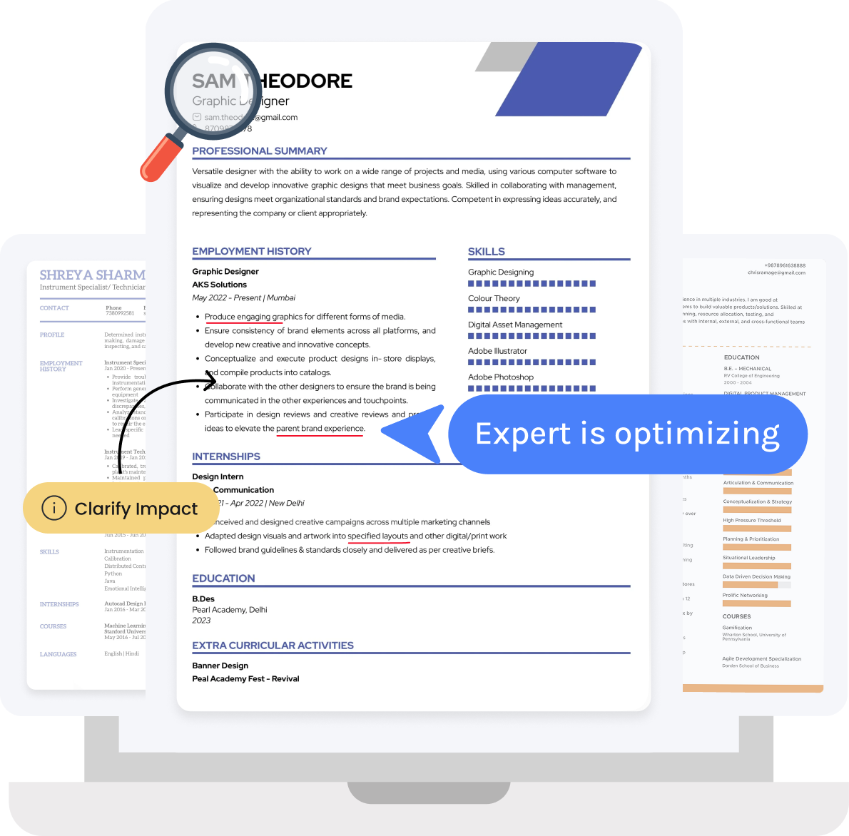 Expert Resume Build