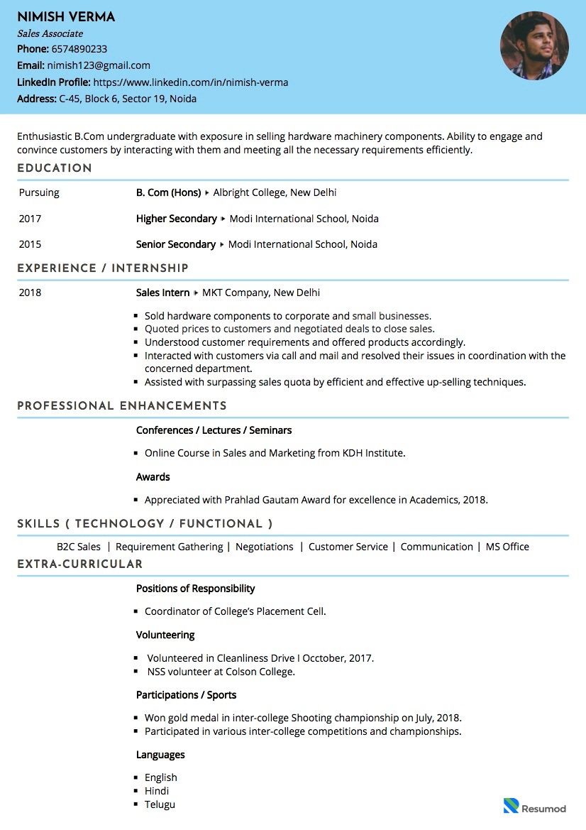 Sales Executive Resume India