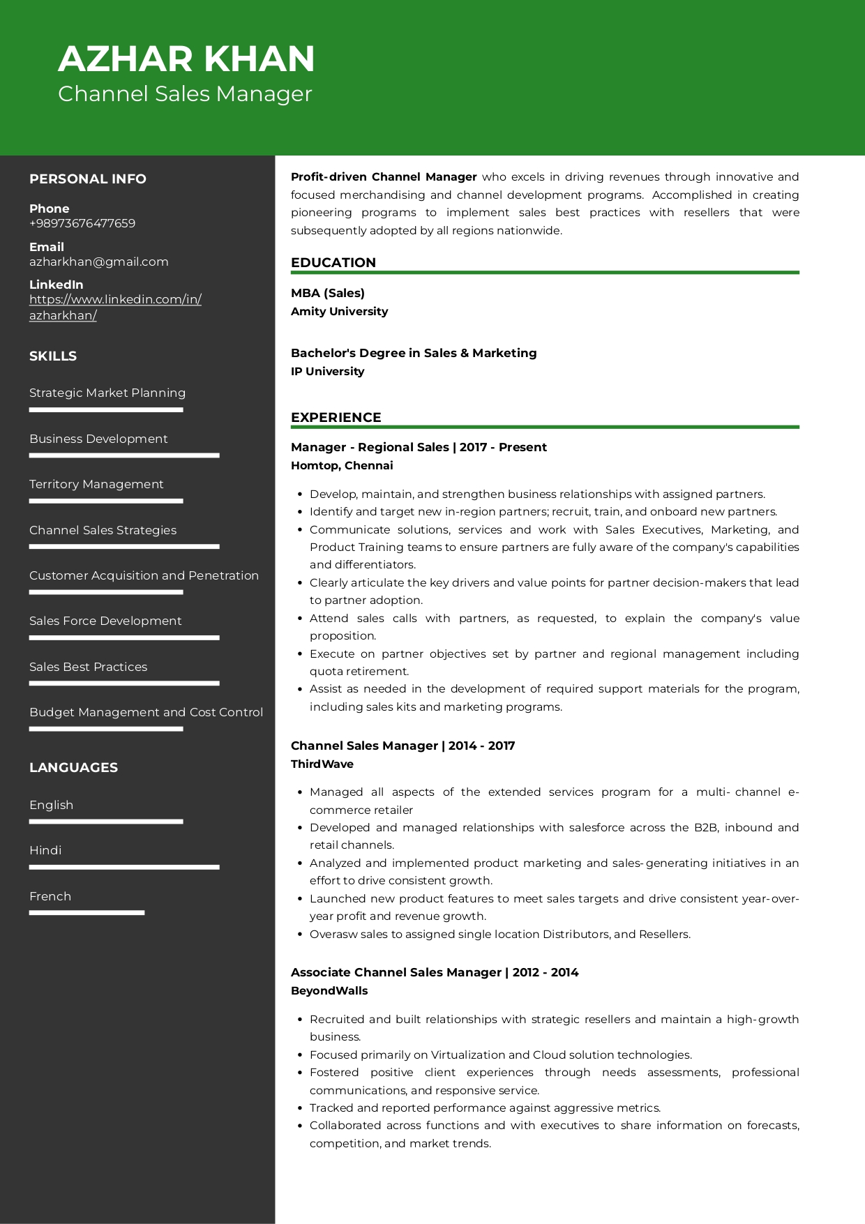 Resume of Channel Sales Manager