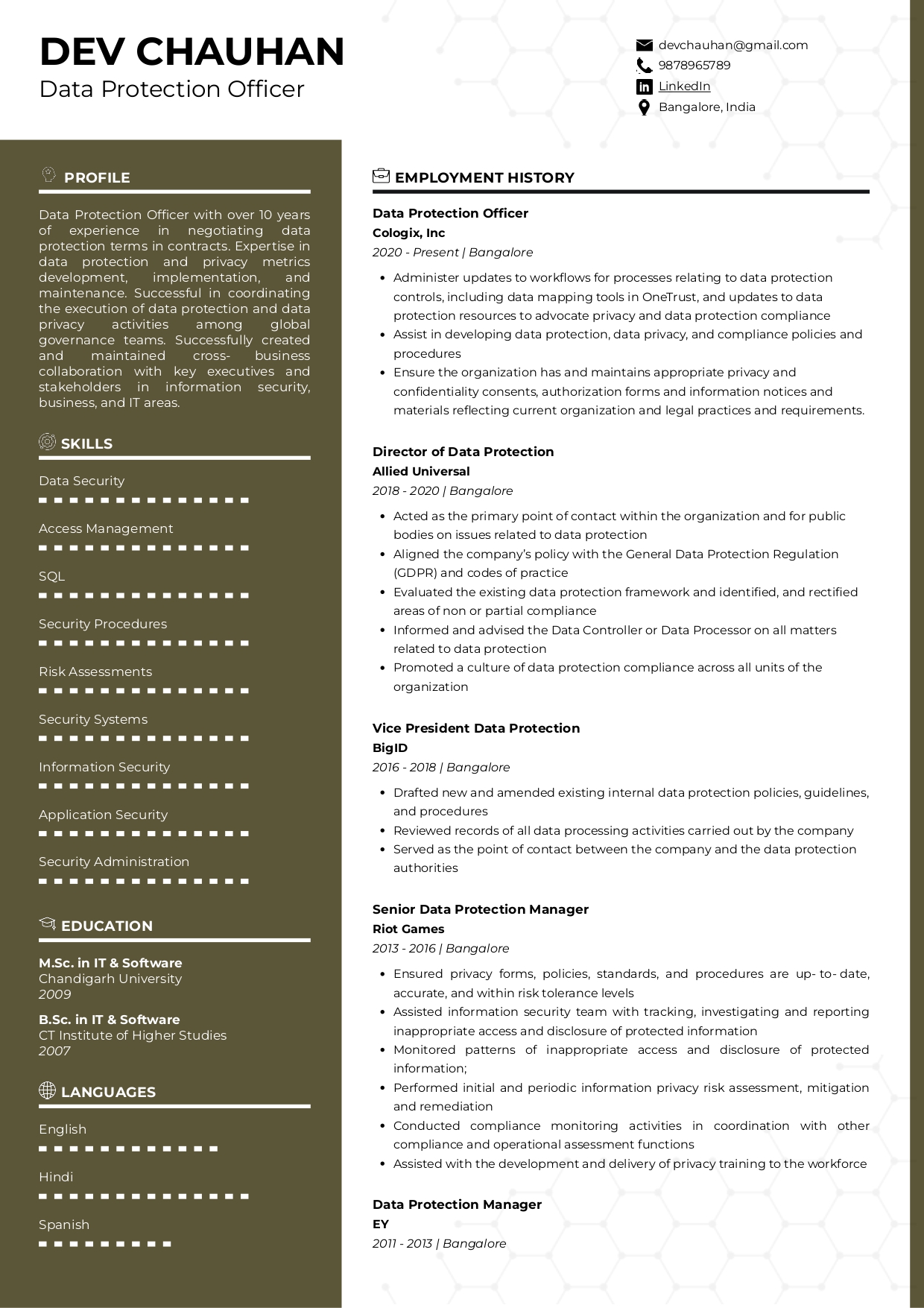 Sample Resume of Data Protection Officer with Template Writing Guide