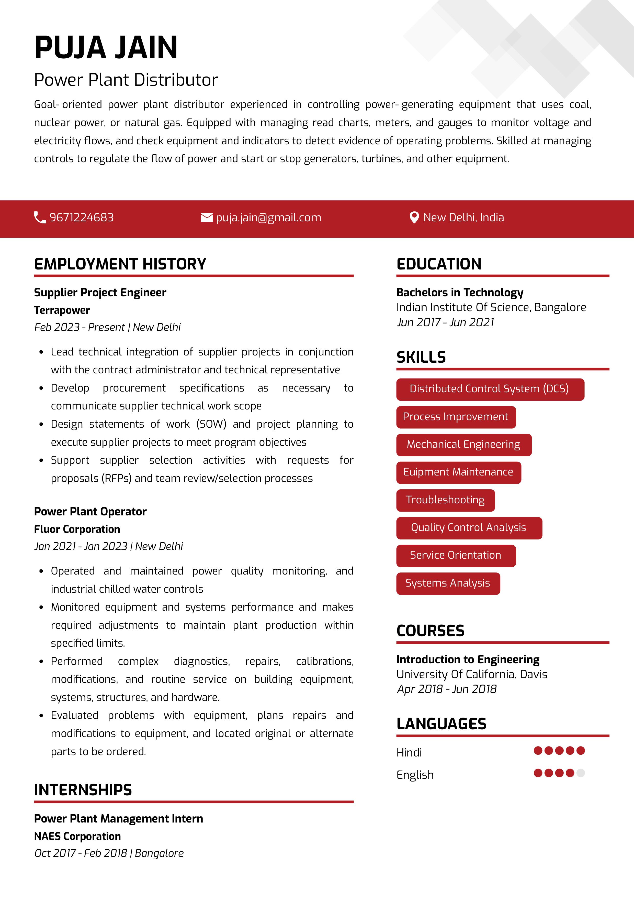 Sample Resume of Powerplant Distributor with Template & Writing Guide ...