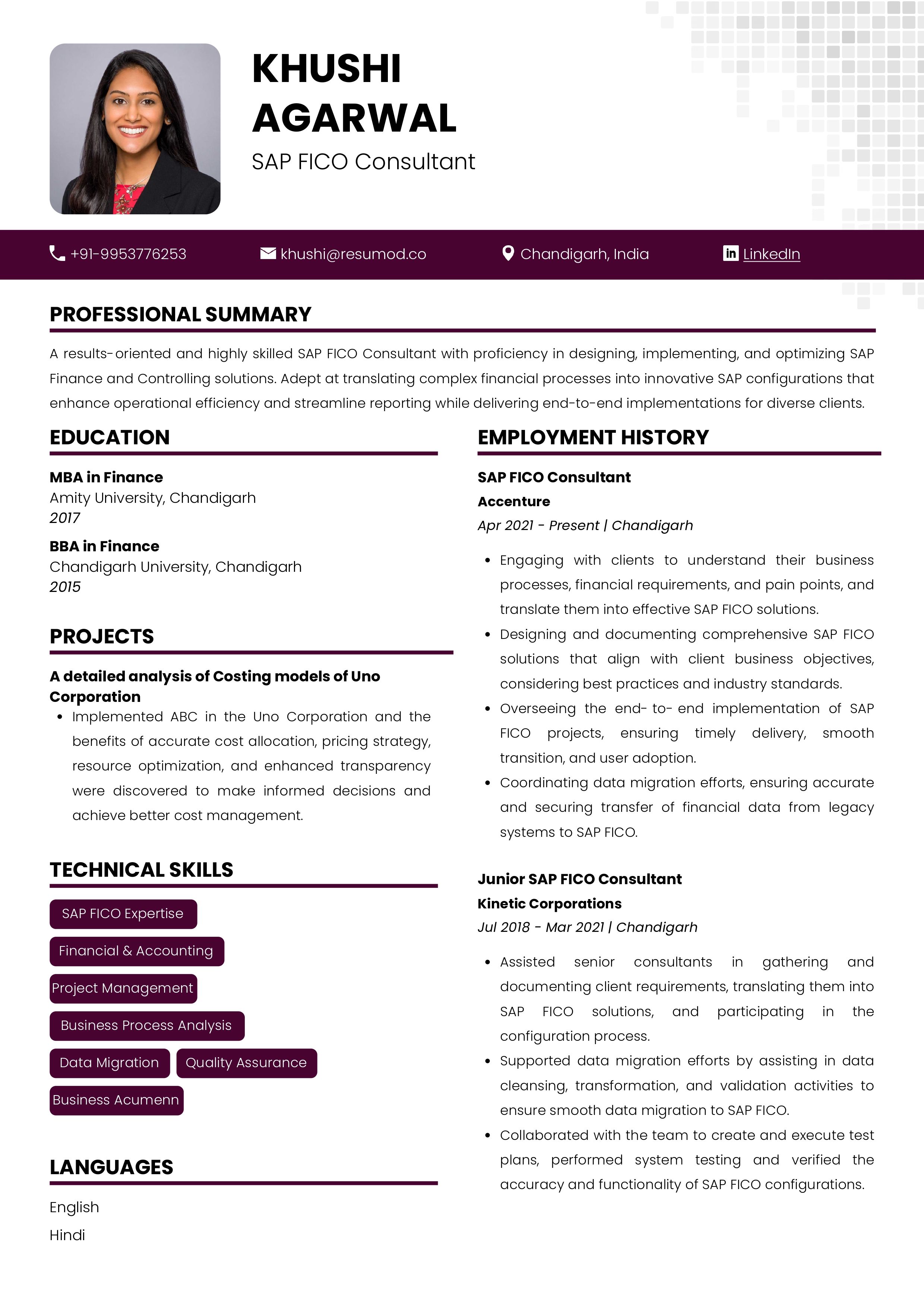 Sample Resume of SAP FICO Consultant with Template & Writing Guide ...