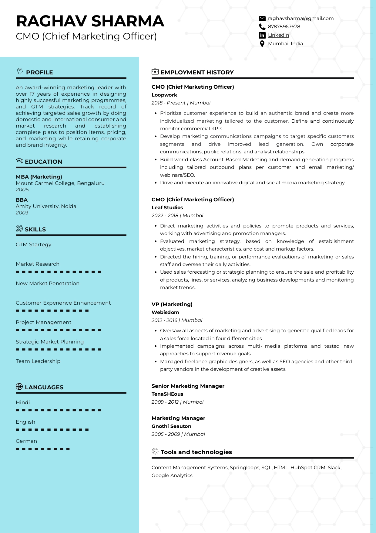 Resume of Chief Marketing Officer (CMO)